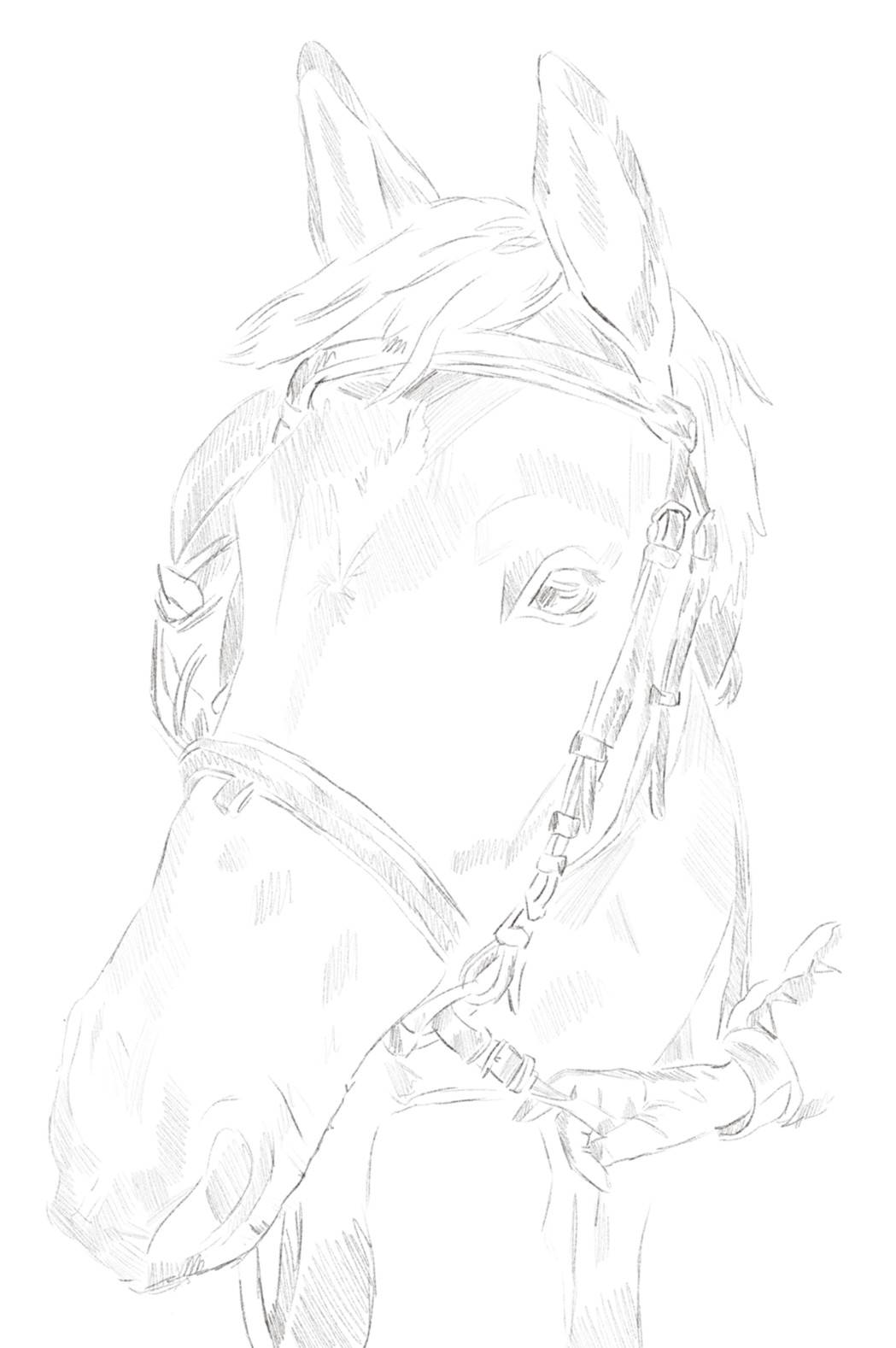 Traditional horse drawing